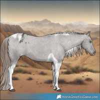 Horse Color:Grullo Tobiano Varnish