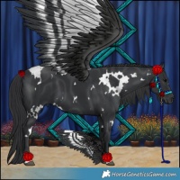 Horse Color:White Spotted Black 