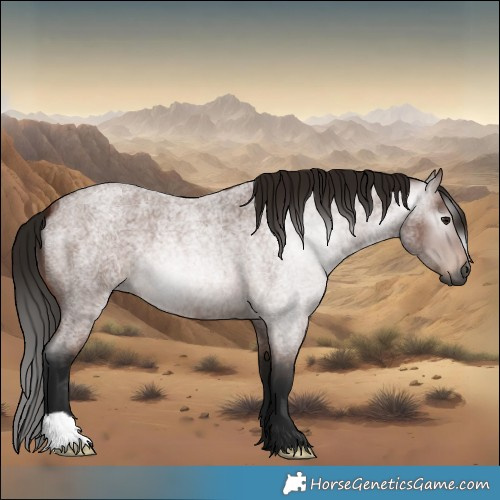 Horse Color:Gray Bay Roan