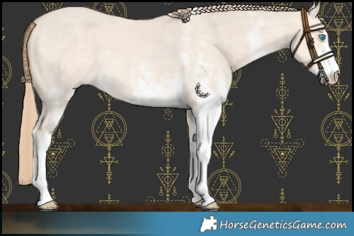 Horse Color:White Spotted Perlino Dun