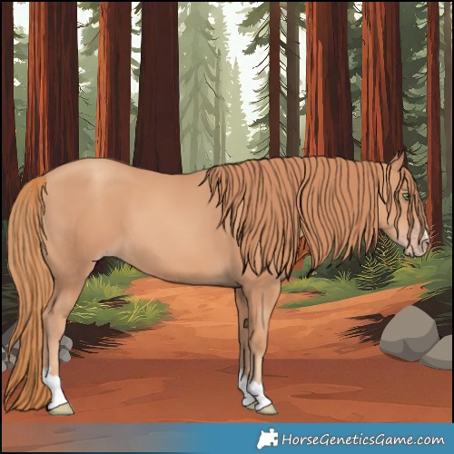 Horse Color:Gold Champagne 