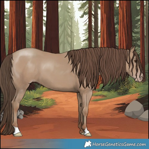 Horse Color:Classic Champagne