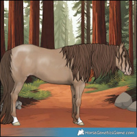 Horse Color:Classic Champagne