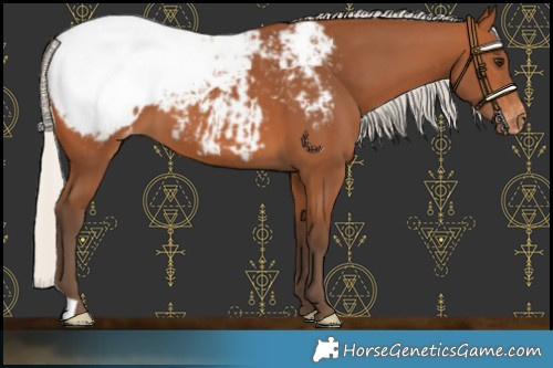 Horse Color:Silver Bay Snowcap 