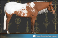 Horse Color:Silver Bay Snowcap 