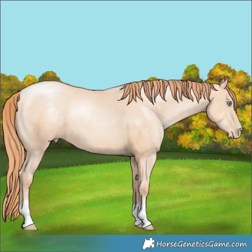 Horse Color:Amber Champagne Pearl