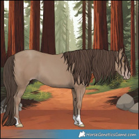 Horse Color:Classic Champagne