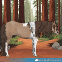 Horse Color:Classic Champagne Tobiano