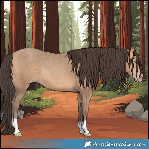 Horse Color:Amber Champagne 