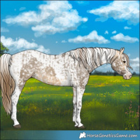 Horse Color:Buckskin Dun Snowflake Varnish  and Buckskin Dun Tobiano Snowflake Varnish 