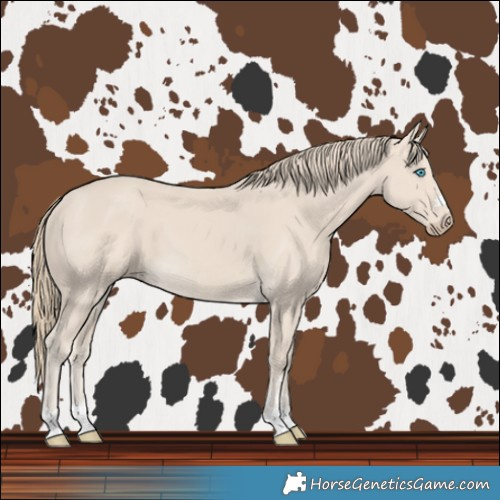 Horse Color:Smoky Creme 