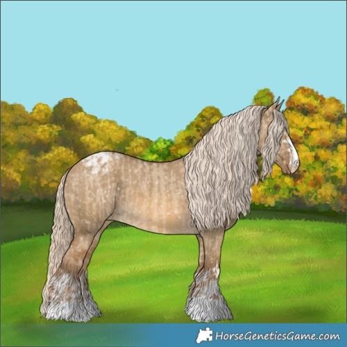 Horse Color:Chocolate Palomino Dun Appaloosa and Chocolate Palomino Dun Appaloosa