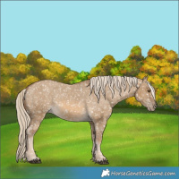 Horse Color:Chocolate Palomino Dun Snowflake Varnish  and Chocolate Palomino Dun Snowflake Varnish 
