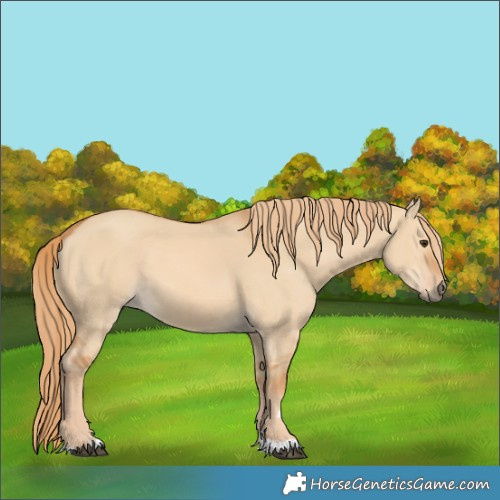 Horse Color:Red Dun 