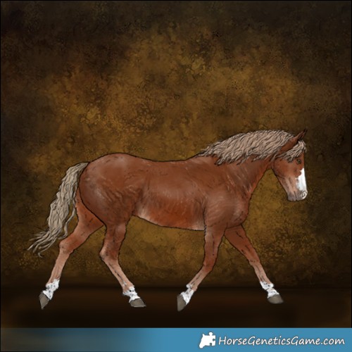 Horse Color:Chestnut 