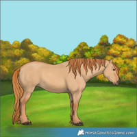 Horse Color:Red Dun 