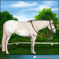 Horse Color:Smoky Creme Dun Blanket  and Smoky Creme Dun Frame Blanket 