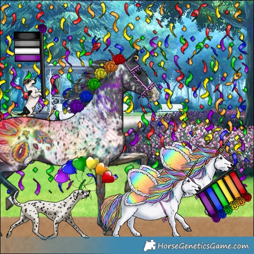 Horse Color:Black Splash Appaloosa 