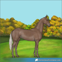Horse Color:Silver Black 