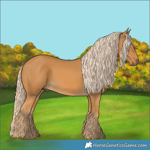 Horse Color:Palomino