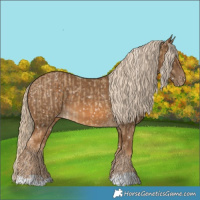 Horse Color:Chocolate Palomino Dun Snowflake Varnish  and Chocolate Palomino Snowflake Varnish 