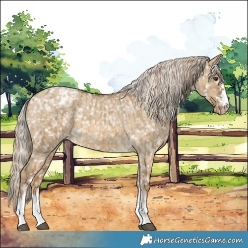Horse Color:Chocolate Palomino Dun Blanket  and Chocolate Palomino Dun Snowflake Varnish 