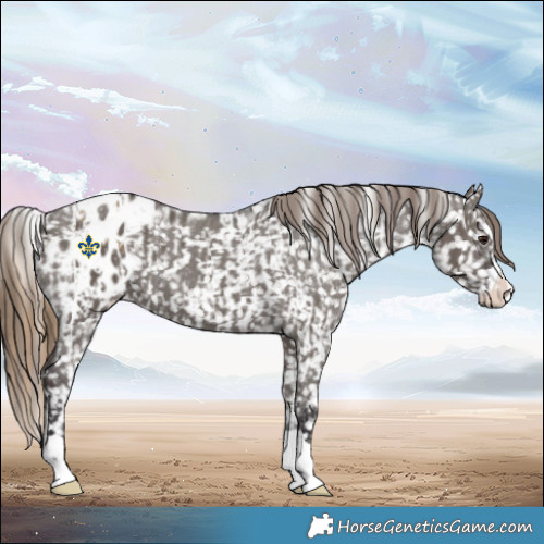Horse Color:Buckskin Dun Blanket  and Smoky Grullo Blanket 