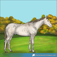 Horse Color:Buckskin Dun Snowflake Varnish and Buckskin Pearl Dun Snowflake Varnish