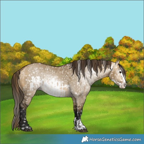 Horse Color:Buckskin Dun Frame Snowflake Varnish  and Gray Buckskin Dun Frame Snowflake Varnish 