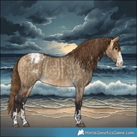Horse Color:Buckskin Dun Appaloosa and Buckskin Dun Appaloosa