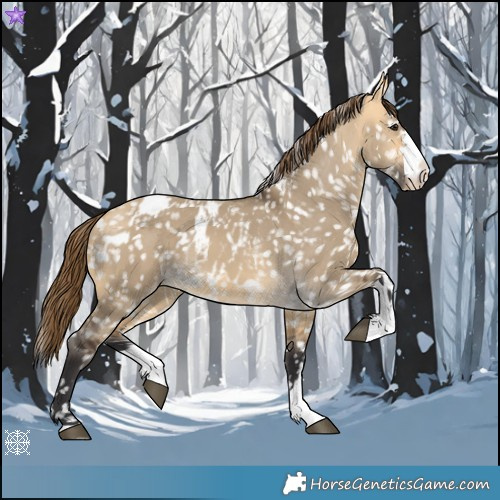 Horse Color:Buckskin Dun Snowflake Varnish and Buckskin Dun Blanket