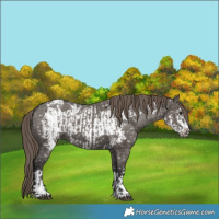 Horse Color:Smoky Grullo Blanket and Smoky Grullo Frame Blanket