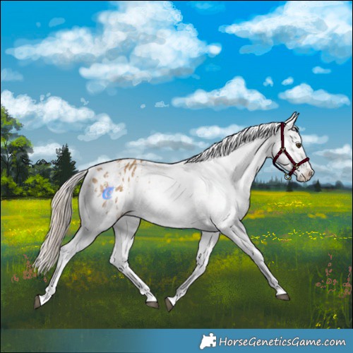 Horse Color:Chocolate Palomino Dun Snowflake Varnish  and Chocolate Palomino Dun Snowflake Varnish 