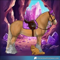 Horse Color:Palomino