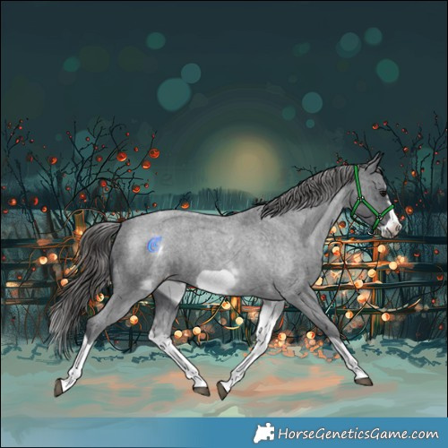 Horse Color:White Spotted Blue Roan Splash Frame Varnish