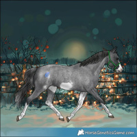 Horse Color:White Spotted Blue Roan Splash Frame Varnish 