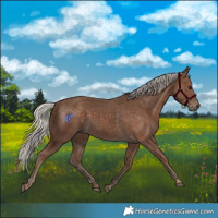 Horse Color:Silver Black 
