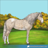 Horse Color:Chocolate Palomino Dun Snowflake Varnish  and Chocolate Palomino Dun Snowflake Varnish