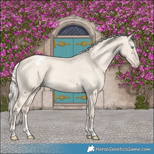 Horse Color:Cremello Dun Appaloosa  and Cremello Dun Appaloosa 