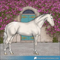 Horse Color:Cremello Dun Snowflake Varnish  and Cremello Dun Varnish 