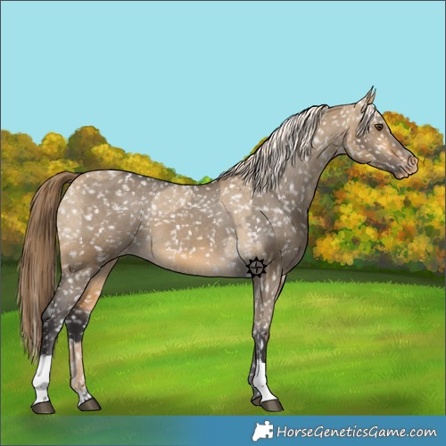 Horse Color:Chocolate Palomino Dun Snowflake Varnish  and Buckskin Dun Snowflake Varnish 