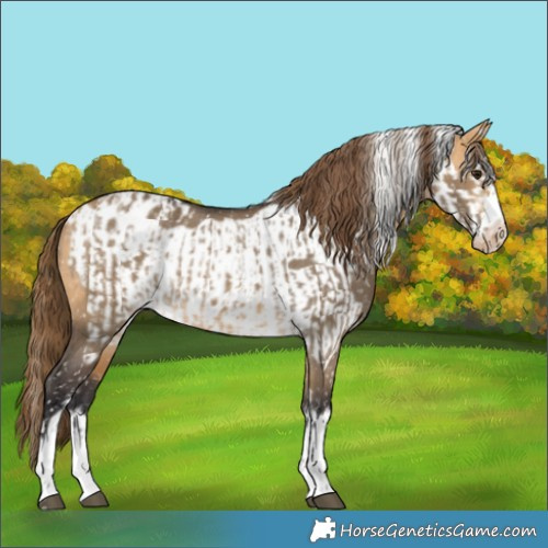 Horse Color:Buckskin Dun Snowflake Varnish  and Buckskin Dun Frame Snowflake Varnish 