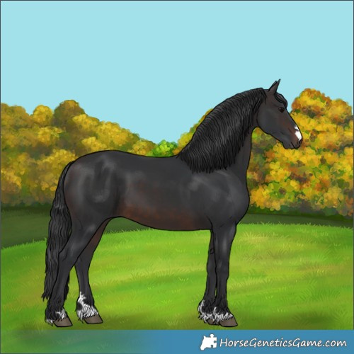 Horse Color:Brown 
