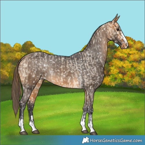 Horse Color:Buckskin Dun Snowflake Varnish  and Buckskin Snowflake Varnish 