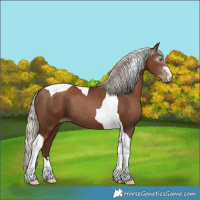 Horse Color:Gray Silver Black Pearl Tobiano 