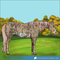 Horse Color:Void Painted Nacre Chocolate Palomino Ice Dun Tobiano Snowflake Varnish and Chocolate Palomino Dun Frame Snowflake Varnish