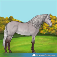 Horse Color:Chocolate Silver Brown Chinchilla Dun 