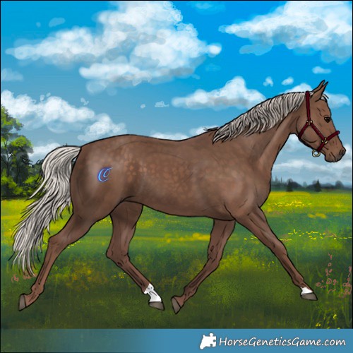 Horse Color:Silver Black 