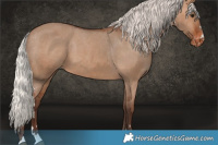 Horse Color:Silver Brown Dun Varnish 