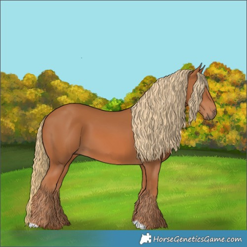 Horse Color:Chestnut 